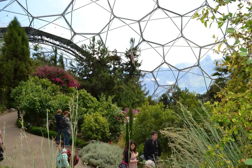 eden project, biomes, captive rainforest, andrew songhurst, st austell things to do