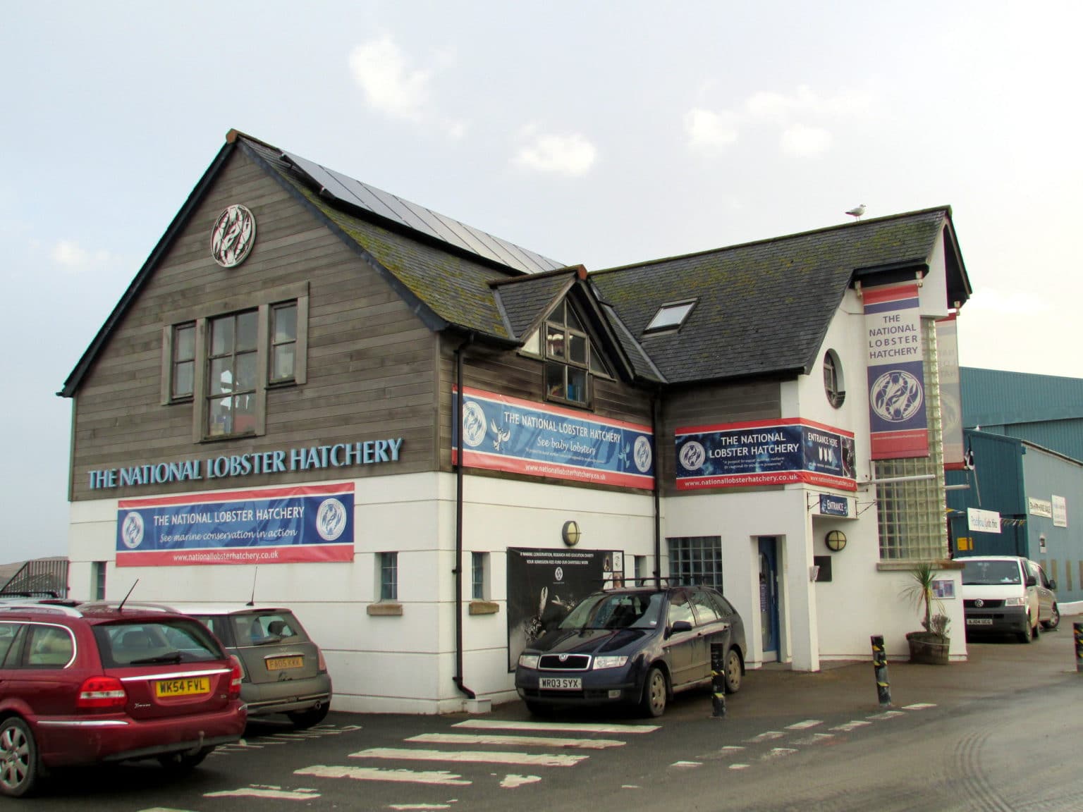 18+ Fun Things to do in Padstow with Kids in 2022 Kids to Cornwall