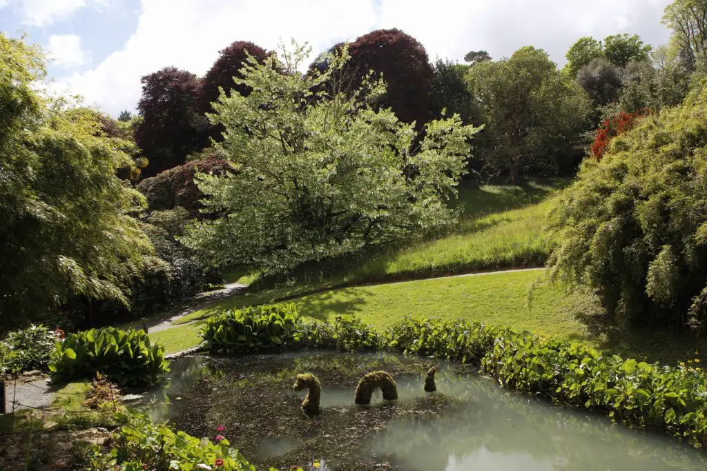 trebah garden, gardens in cornwall