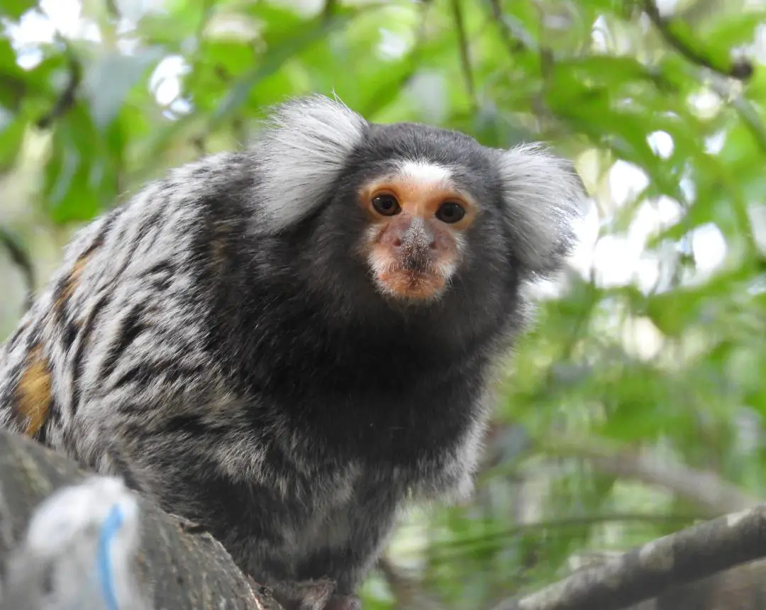 22 Best Things to do in Looe with Kids + Nearby