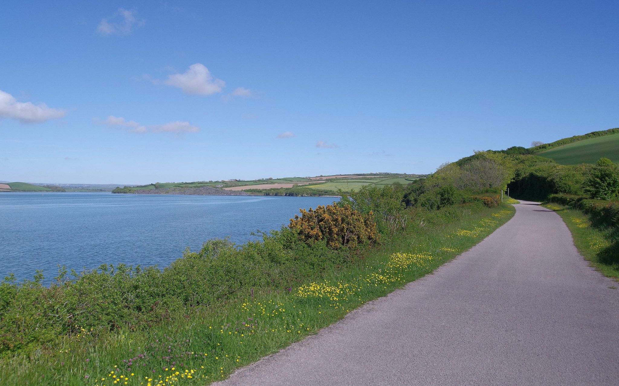 Ready To Ride? Exploring The Camel Trail in Cornwall with Kids