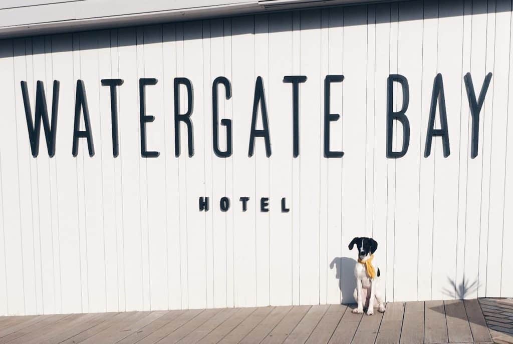 a review of the watergate bay hotel